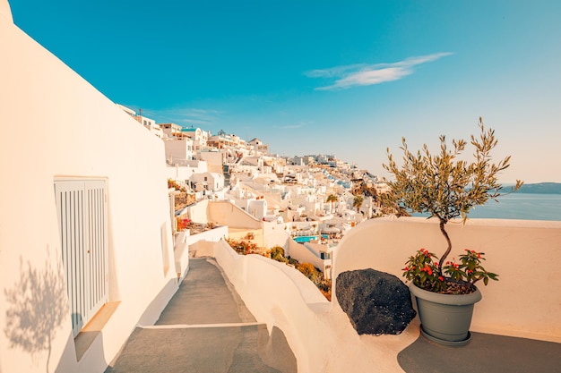 Fantastic evening urban view of Santorini island Greece. Picturesque autumn sunset famous travel