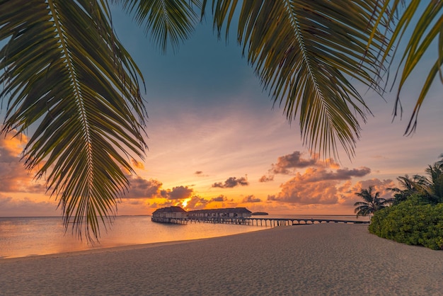 Fantastic island beach and sunset sky with palm tree leaves. Luxury tropical beach landscape, wooden