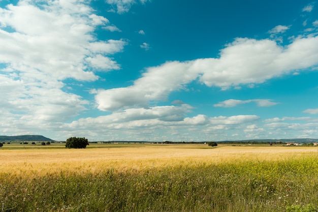 Fantastic spring landscape with one person