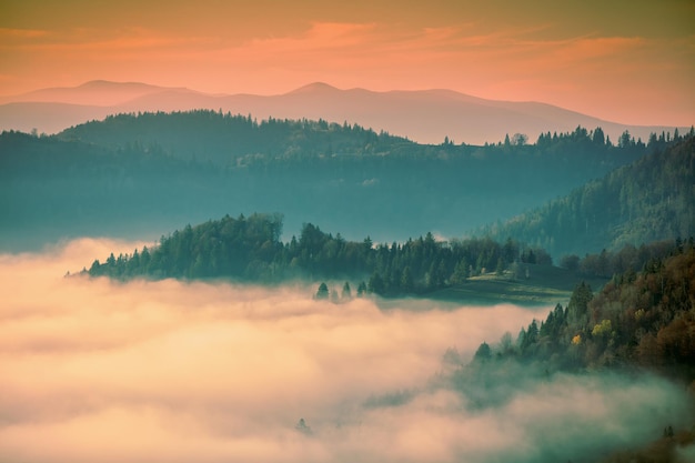 Fantastic view of the tops of the mountain ridge above the clouds