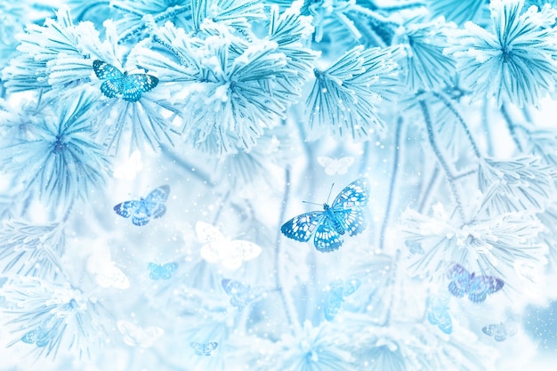 Fantastic winter image Flying butterflies in a coniferous snowy forest