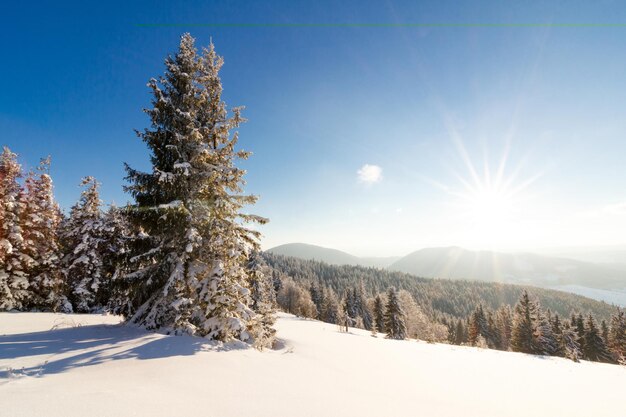 Fantastic winter landscape Blue sky Carpathian Ukraine Europe Beauty world