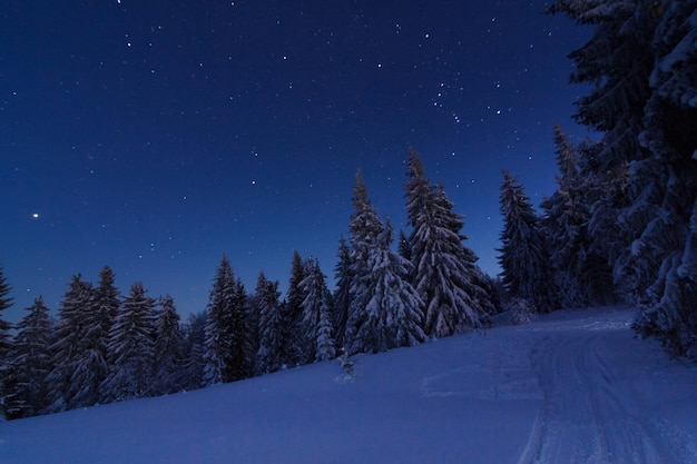 Fantastic winter landscape Carpathian Ukraine Europe Beauty world