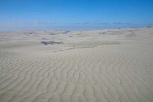 Farewell Spit is a narrow sand spit at the northern end of the Golden Bay South Island New Zealand