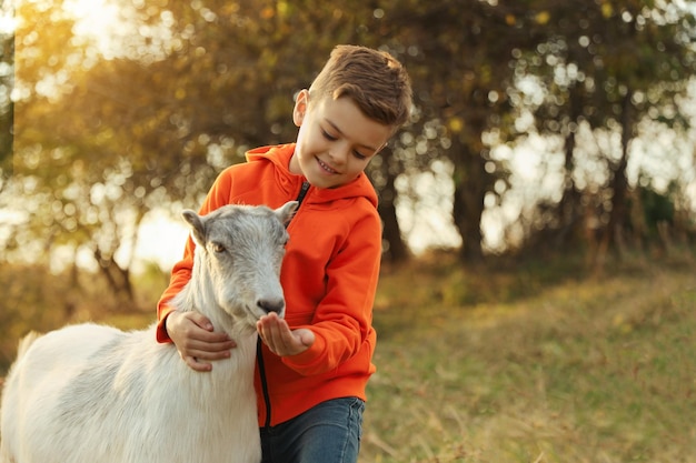 Photo farm animal cute little boy feeding goat on pasture space for text