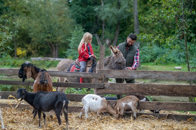 On a farm. A cute blonde girl riding a donkey on a farm, her dad helping her