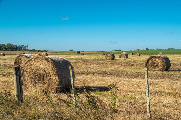 Farm enviroment