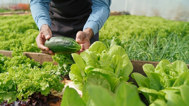 Farm fresh vegetables and fruits