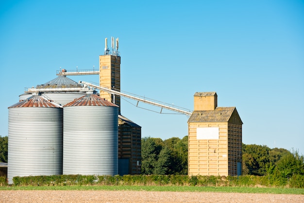 Farm grain silos for agriculture