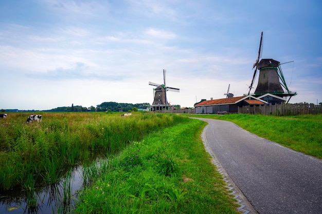 Farm houses and windmills of Zaanse Schans