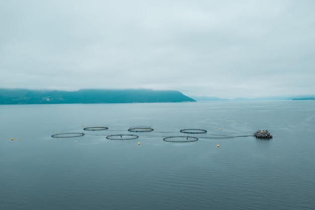 Farm salmon fishing in Norway Norway is the biggest producer of farmed salmon in the world with more than one million tonnes produced each year