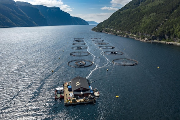 Farm salmon fishing in Norway Norway is the biggest producer of farmed salmon in the world with more than one million tonnes produced each year