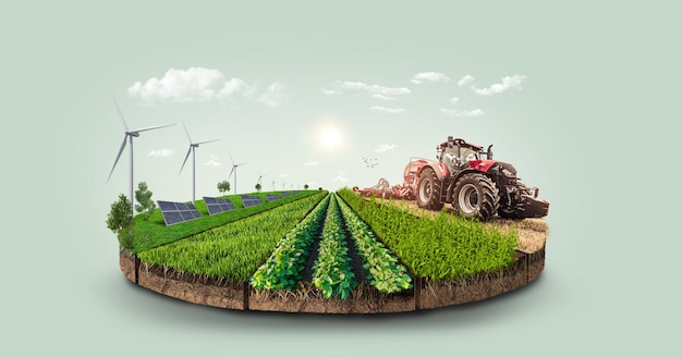 A farm and solar panels are shown in this illustration.