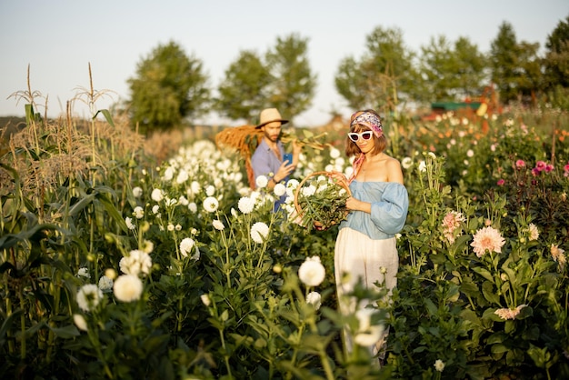 Farm workers carry lots of freshly picked up flowers at farm