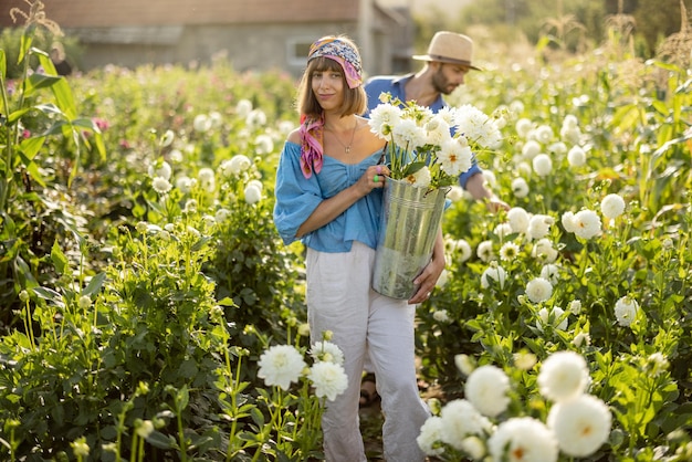 Farm workers pick up dahlia flowers at rural farm outdoors