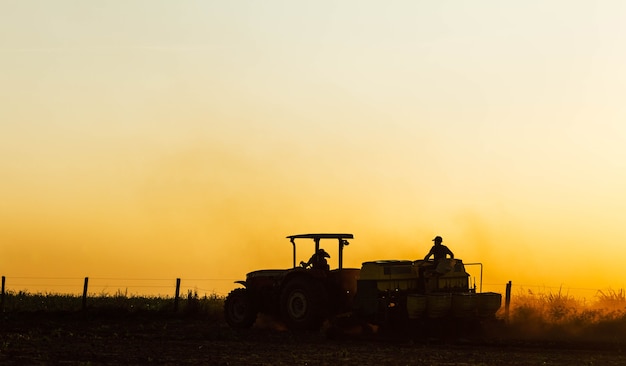 Farm workers work on planting the crop Agriculture is one of the main bases the Brazilian economy