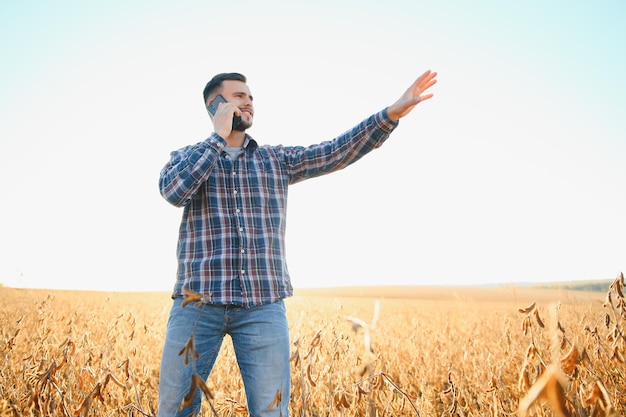 Farmer or agronomist inspecting soybean field