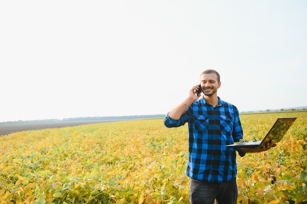 A farmer agronomist inspects soybeans growing in a field. Agriculture