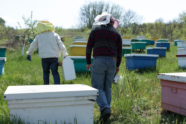 A farmer on a bee apiary holds frames with wax honeycombs Planned preparation for the collection of honey