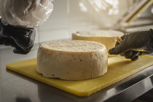 Photo a farmer in black gloves cuts a head of spicy gorgonzola cheese with blue mold with a slicer into pieces