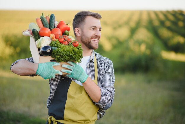 Farmer carrying box of picked vegetables