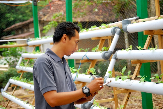 Farmer control the growth of organic vegetables