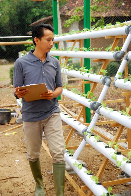 Farmer control the growth of organic vegetables