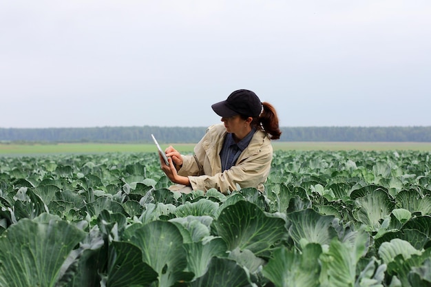 Farmer control quality of cabbage crop before harvesting Woman agronomist using digital tablet and modern technology in agricultural field