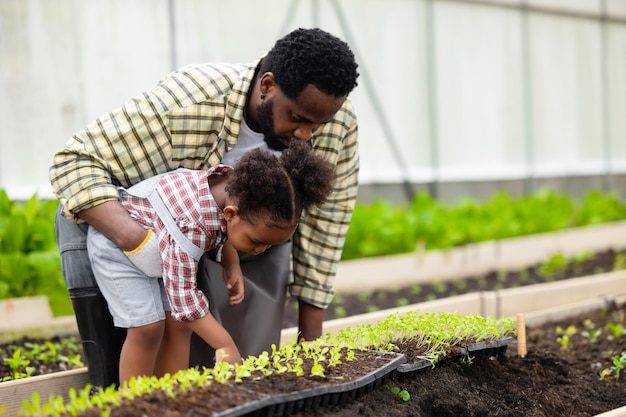 Farmer family concept black african father teaching child to plant tree in agriculture farm vegetable patch to love green nature