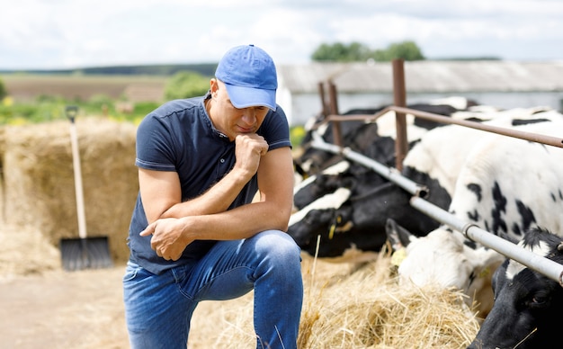 Farmer at farm with dairy cow