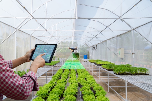 A farmer gardener holds a tablet to inspect agricultural produce unmanned aerial vehicle