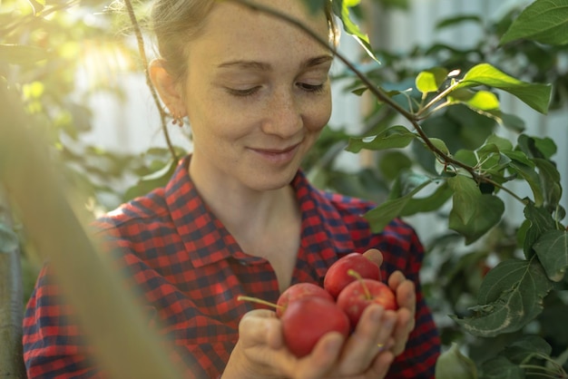 Farmer girl is plucking a fresh crop of organic red apples in her autumn garden