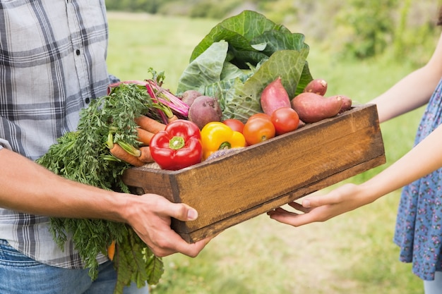 Farmer giving box of veg to customer