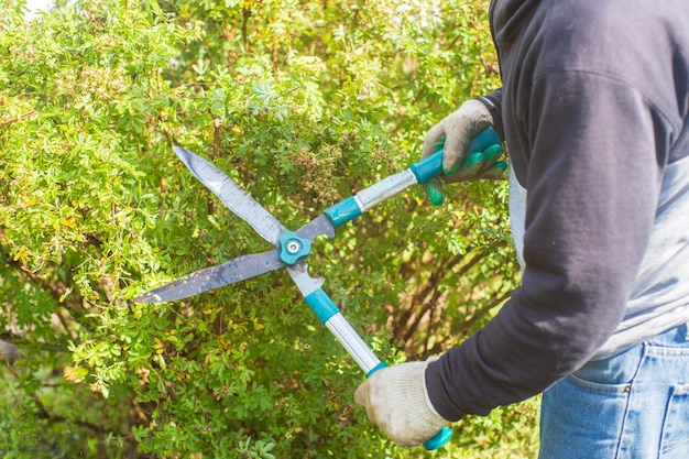 Farmer hands who make pruning of bushes with large garden shears Gardening Tools Agricultural concept Farming season