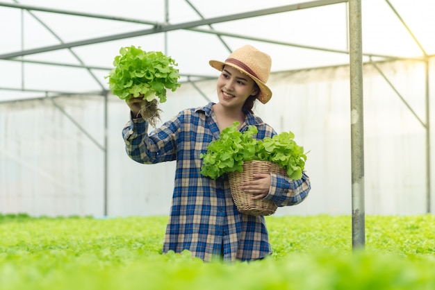 Farmer happy in working organic salad vegetable farm