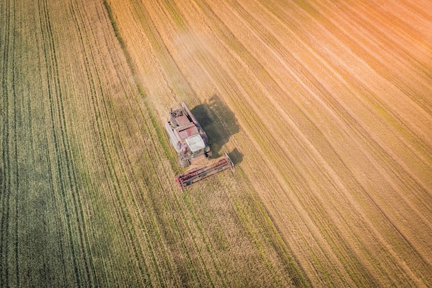 A farmer on a harvester harvests wheat in the field