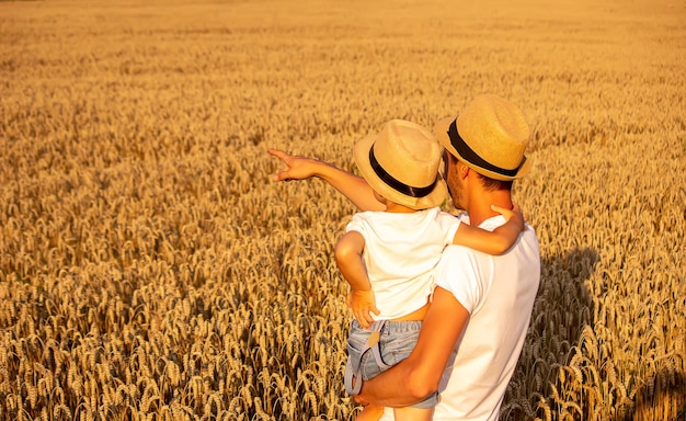 Farmer and his son walking fields of wheat