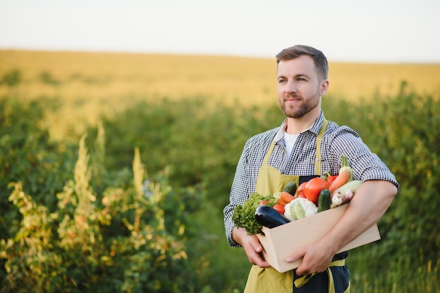 Farmer holding box with organic vegetables