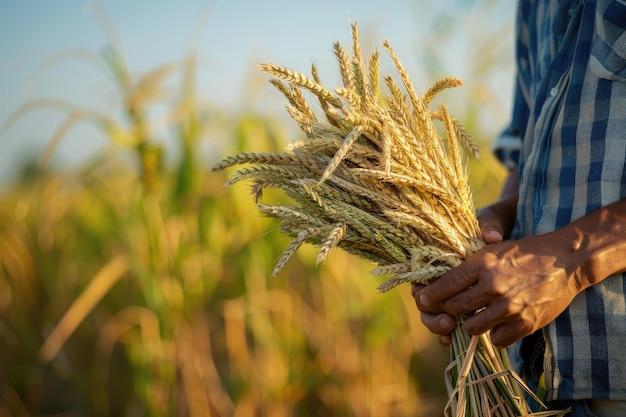 Photo farmer holding crops in the field