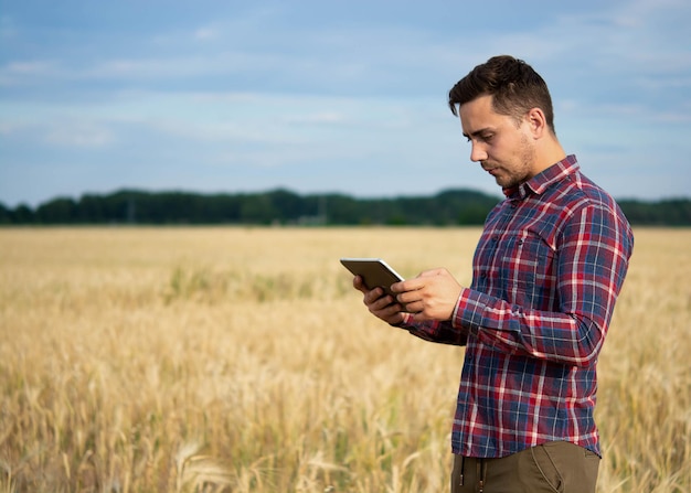 Farmer holding phone and wheat Agronomist uses online data management software