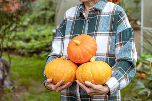 Farmer holding pumpkins on garden Autumn harvest preparing for Halloween Closeup