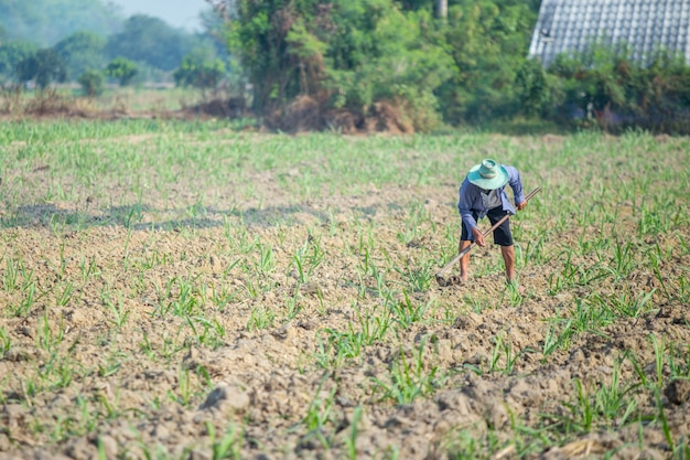 Farmer holding spade working in field