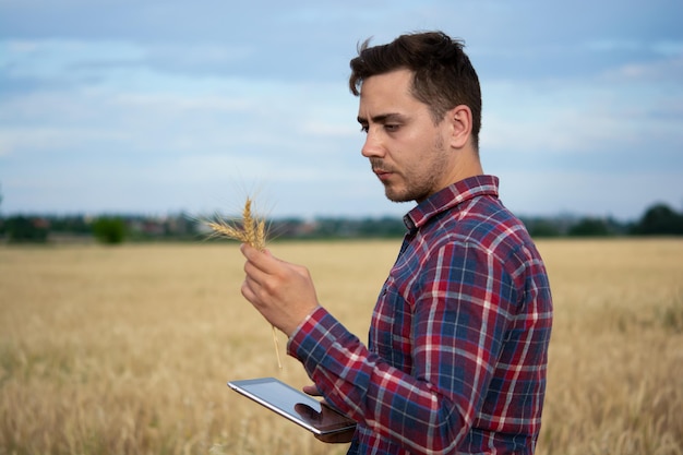 Farmer holding tablet agronomist using online data management software creating yield maps in field