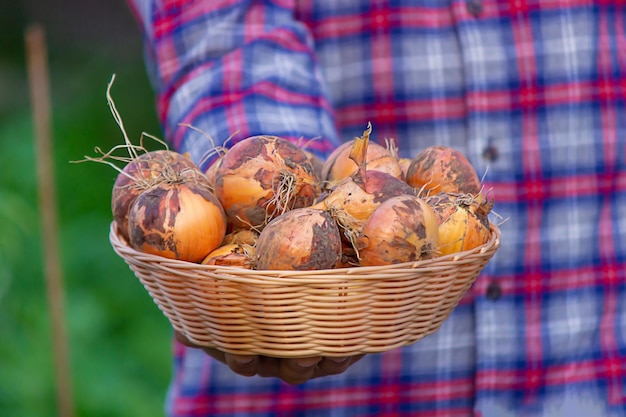 The farmer holds a bow in his hands