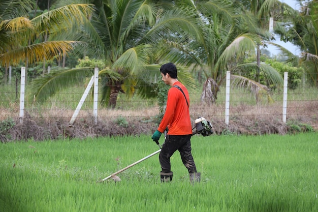 A farmer is cutting grass with a lawn mower.