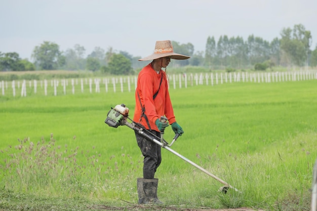 A farmer is cutting grass with a lawn mower