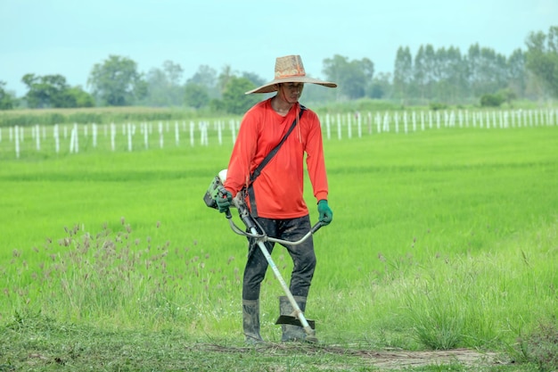 A farmer is cutting grass with a lawn mower.