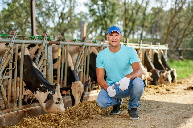 Farmer is working on farm with dairy cows.