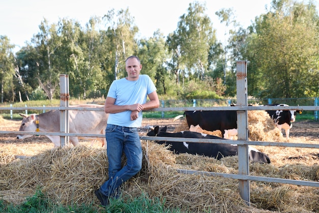 Farmer is working on the farm with dairy cows