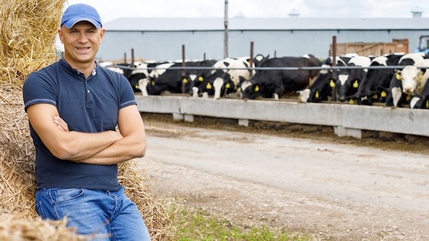 Farmer is working on farm with dairy cows